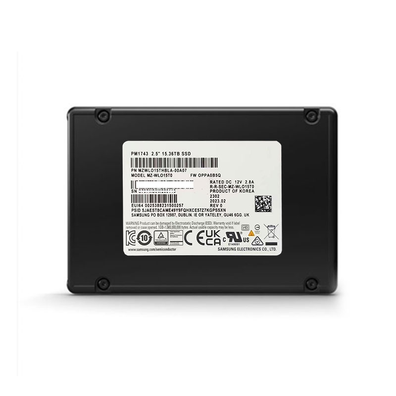 PM1743 SSD